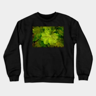 Rain Pearls Crewneck Sweatshirt